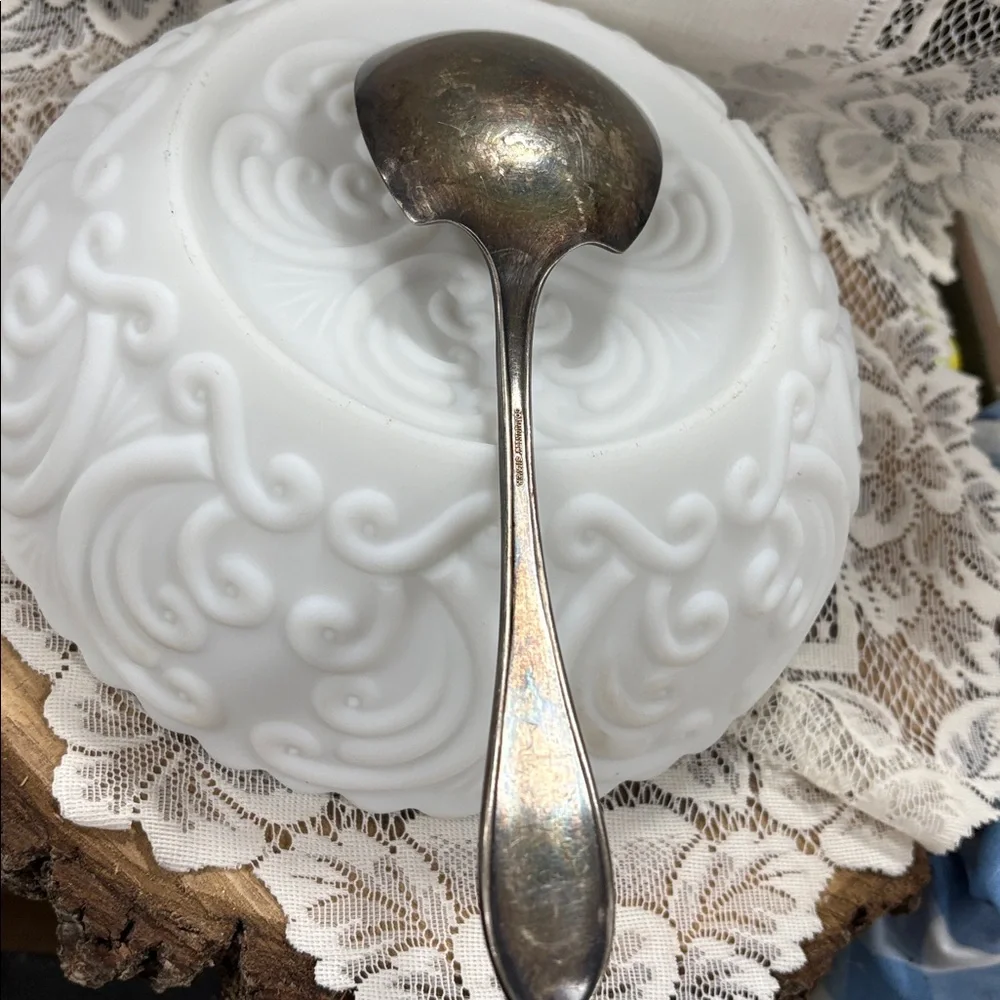 Elegant Silver Plate gravy Spoon Community Silver Co.
